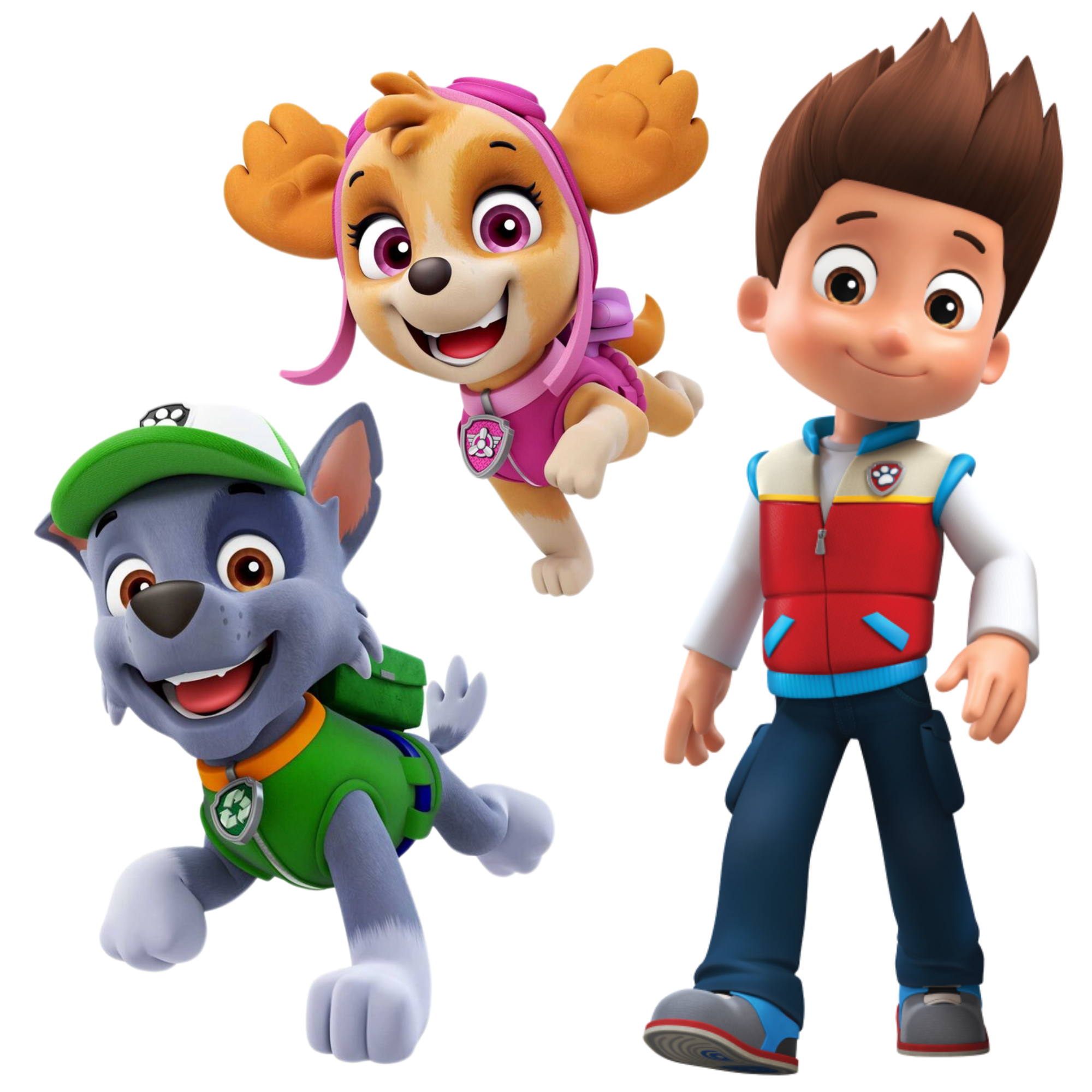 PAW Patrol 5